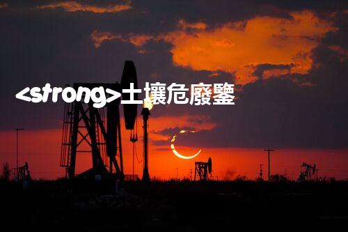 <strong>土壤危廢鑒定流程隱秘的廢棄物：揭開(kāi)城市底下的神秘面紗！</strong>